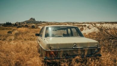 call abandonment likelihood assessment