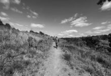 callback ratio analysis tool