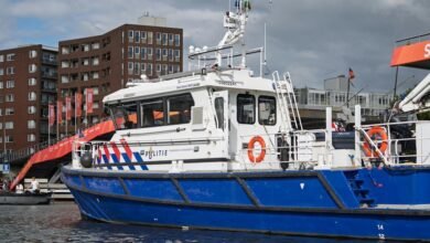 callback response likelihood assessment