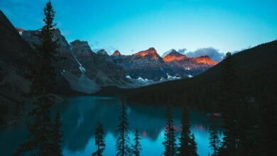 peak hour call volume