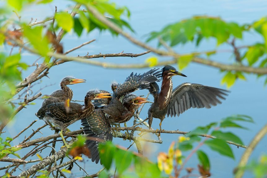 user segment call attempts