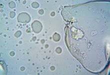 caller safety protection oversight