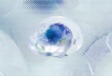 fraud oversight bureau contacts