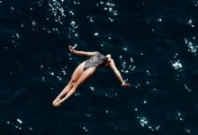 fraudulent activity monitoring committee