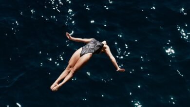 fraudulent activity monitoring committee