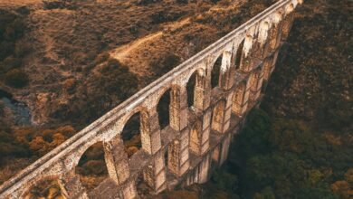 security council contact numbers