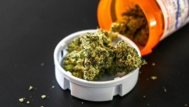 telecom fraud oversight bureau