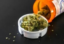 telecom regulation enforcement bureau